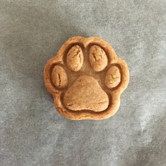 肉球　クッキー　型の画像1枚目