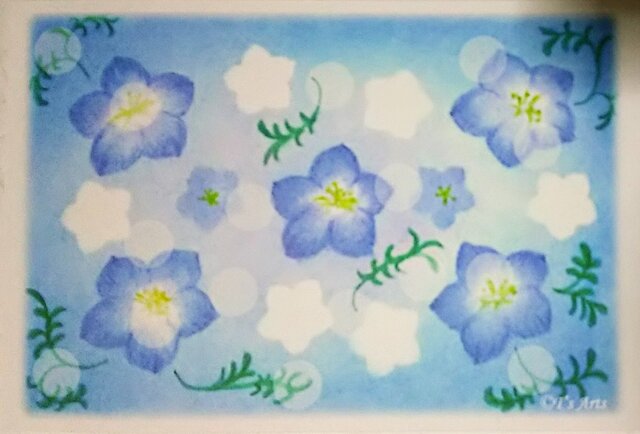 花のパステル画 A4サイズ ポストカード5枚セット クローバーと花のイラスト パステル