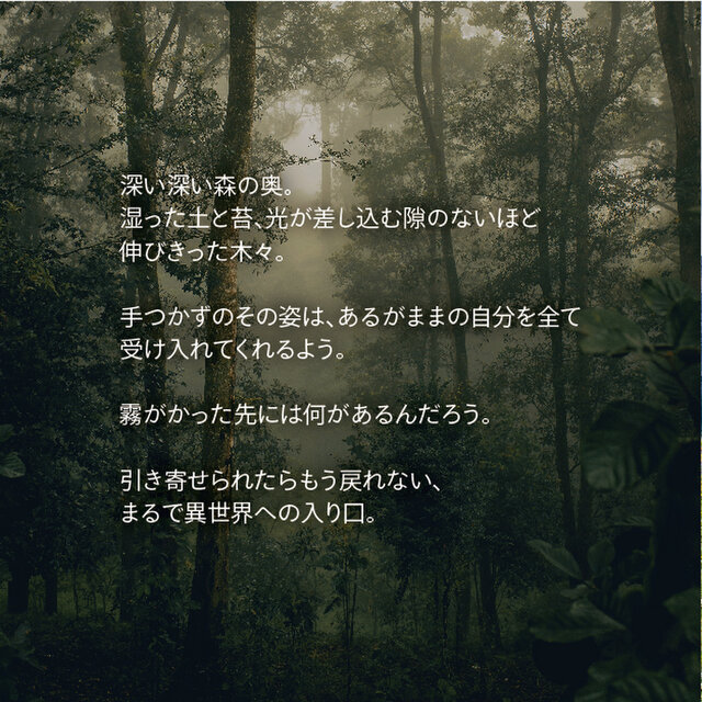 森の香りのナイトタイムオイル《DEEP FOREST》｜天然精油・森林浴