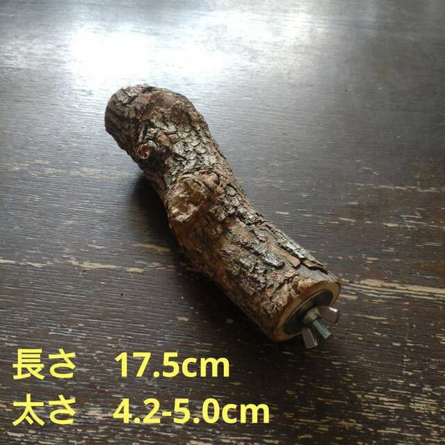 止まり木（枝：TOY-08-015）T507 | iichi 日々の暮らしを心地よくする