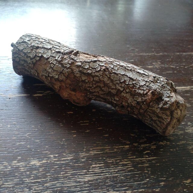 止まり木（枝：TOY-08-015）T507 | iichi 日々の暮らしを心地よくする