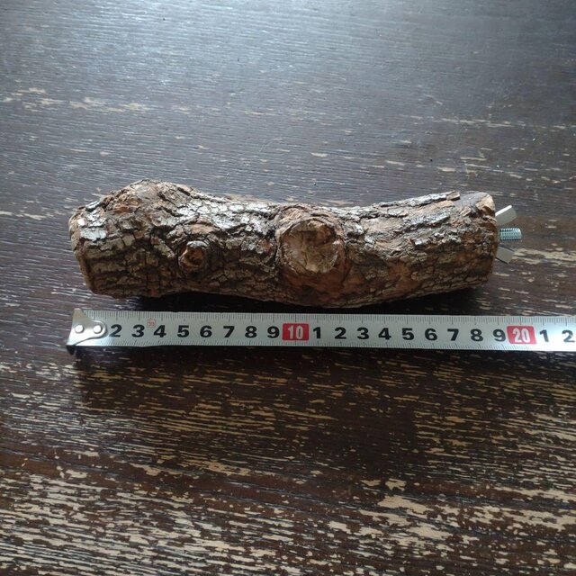 止まり木（枝：TOY-08-015）T507 | iichi 日々の暮らしを心地よくする