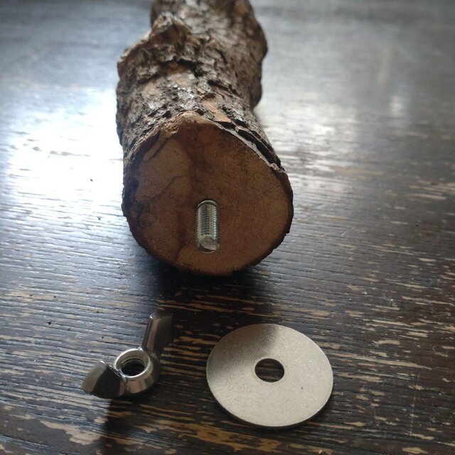 止まり木（枝：TOY-08-015）T507 | iichi 日々の暮らしを心地よくする