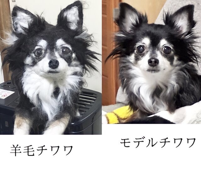 チワワ☆オーダー受付ページ 羊毛フェルト 犬 ハンドメイド 年中最低 ...