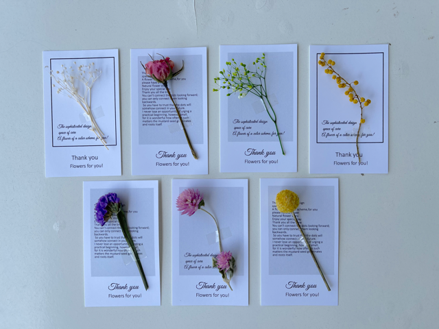 【魔女の棲む森～plant specimen～】ドライフラワー 植物標本 カード 魔女の棲む森～plant specimen～】ドライフラワー 植物標本 カード