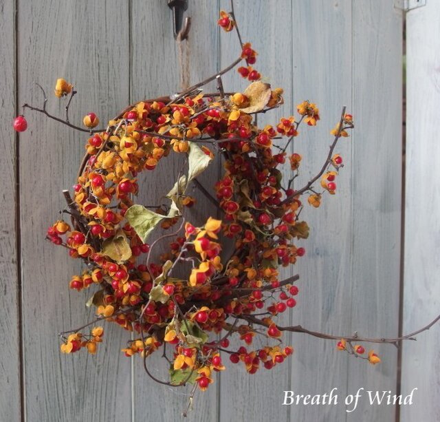 ツルウメモドキリースC 157d286e720d7c0a5c0c2430a36ebd