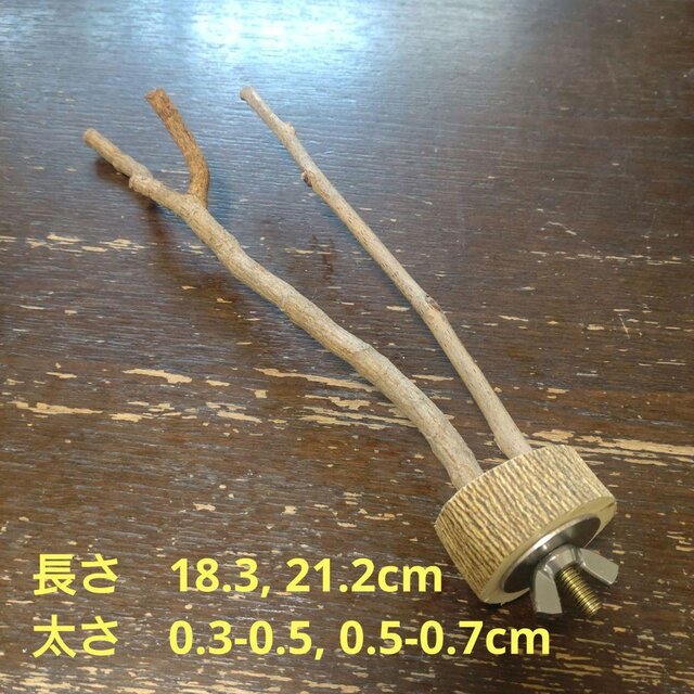止まり木（枝：TOY-08-015）T482 | iichi 日々の暮らしを心地よくするハンドメイドやアンティークのマーケットプレイス