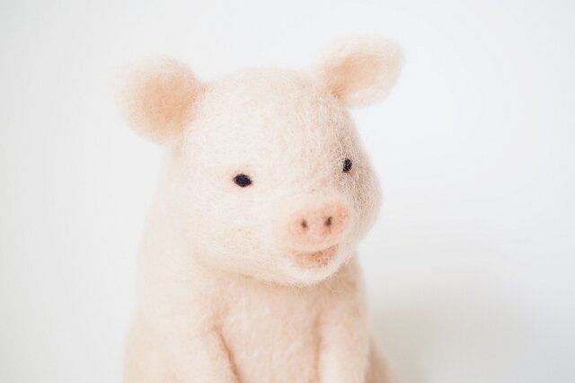 ブタ momocoの画像1枚目