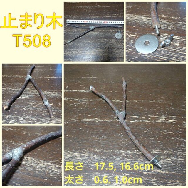 止まり木（枝：TOY-08-015）T508