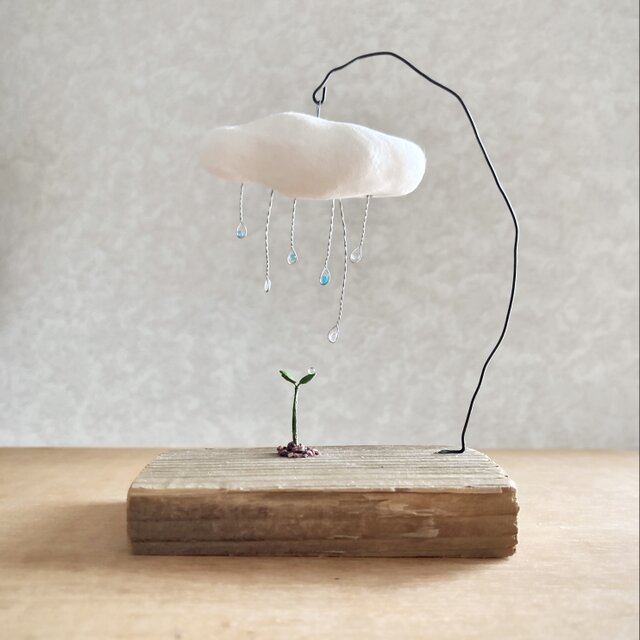 5714.bud 雨の日の画像1枚目