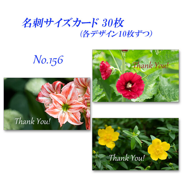 No.156 鮮やかな花のカード 名刺サイズカード 30枚の画像1枚目