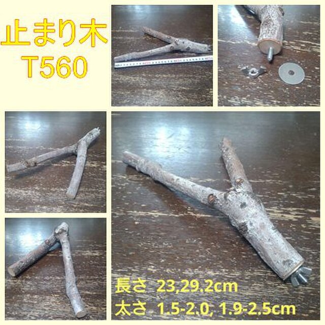 止まり木（枝：TOY-08-015）T560