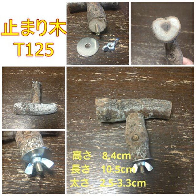 止まり木（枝：TOY-23-004） T125 | iichi ハンドメイド・クラフト作品