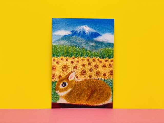 日本一の夏の富士山とひまわり畑とうさぎちゃん]同柄ポストカード3枚