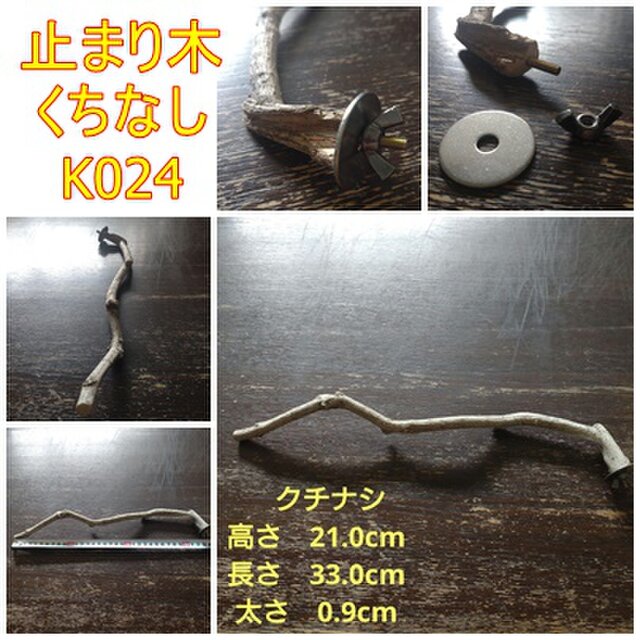 止まり木（クチナシ枝：TOY-23-004）K024 | iichi ハンドメイド