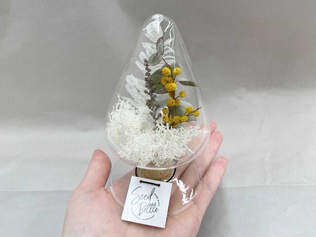 ドライフラワーツリー(S) ミモザ | iichi 日々の暮らしを心地よくする