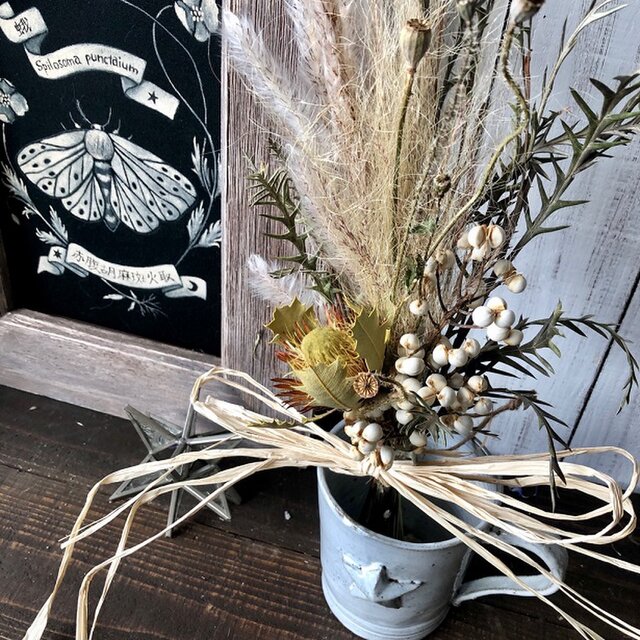 星月猫 ドライアンドラクエルシフォリア とステパ グレビレアアイバンホーの小さなスワッグ ドライフラワー 花束 Iichi ハンドメイド クラフト作品 手仕事品の通販