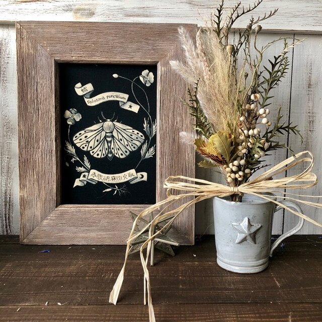 星月猫 ドライアンドラクエルシフォリア とステパ グレビレアアイバンホーの小さなスワッグ ドライフラワー 花束 Iichi ハンドメイド クラフト作品 手仕事品の通販