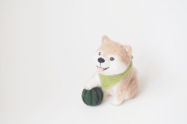 夏の柴犬の画像1枚目