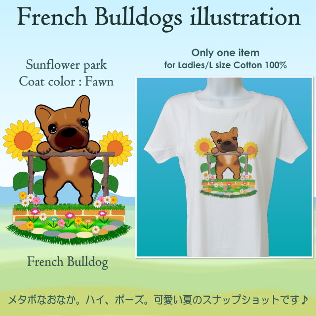 フレンチブルドッグ~大きなおなかの品評会/フォーン/Tシャツ・レディース・Lサイズ(1点限り)