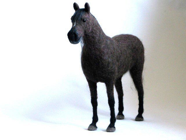 黒鹿毛の馬の画像1枚目