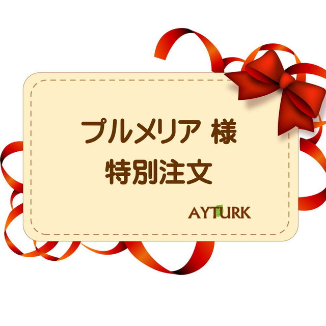 【プルメリア様 特別注文】の画像1枚目
