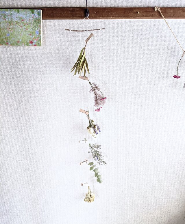 リューカデンドロンとスモークツリー、ユーカリを使ったかろやかなドライフラワーモビール☆
