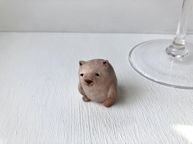 ボーッとしているウォンバットさんの画像1枚目