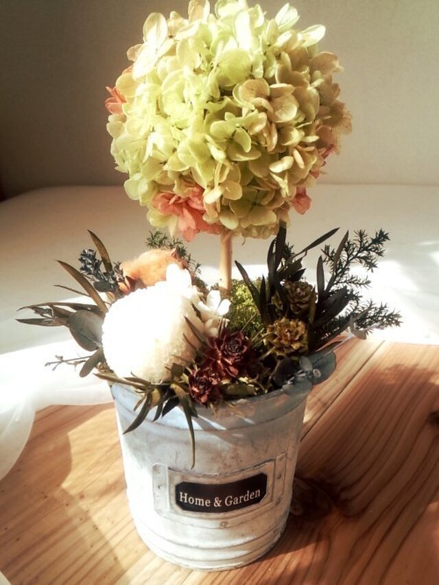 bucket gardenの画像1枚目