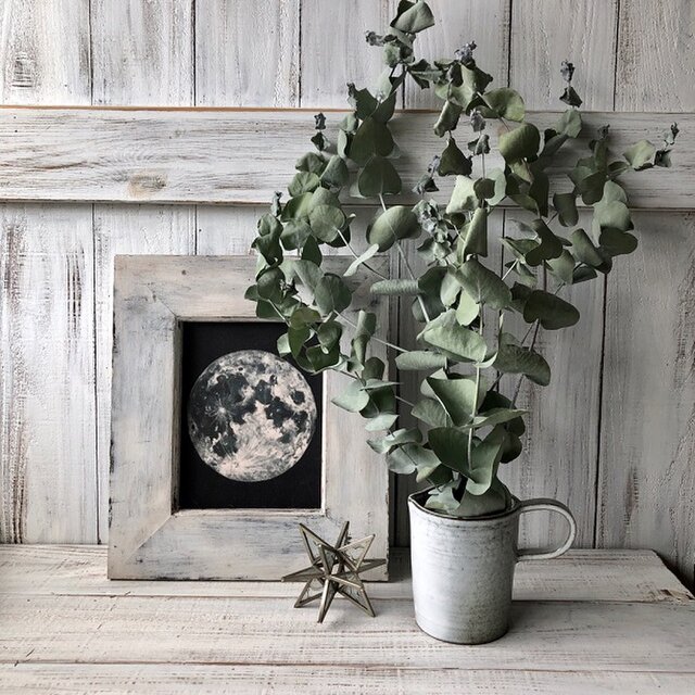 ユーカリアップルボックス5本 ストレート そのまま飾って可愛いドライフラワー 花材 インテリアやスワッグ 撮影小道具などに Iichi ハンドメイド クラフト作品 手仕事品の通販