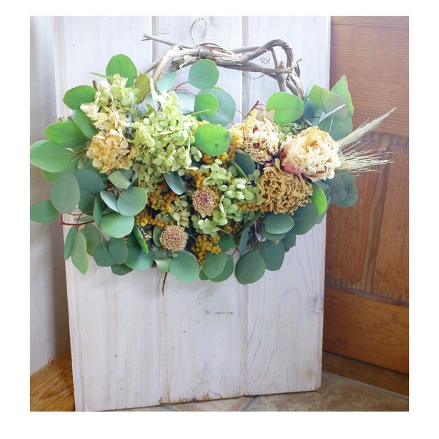 ユーカリポポラスのハーフリース