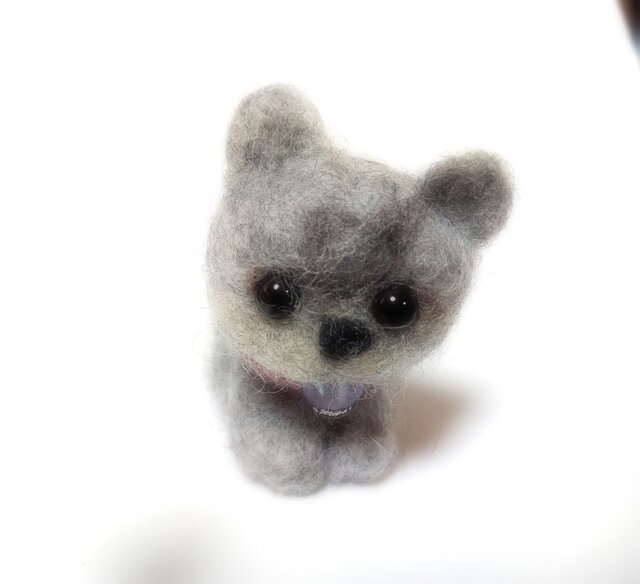 受注販売 羊毛フェルト こねこ アメリカンショートヘア | iichi 日々の
