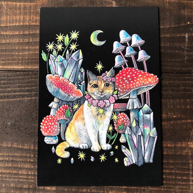 オリジナルポストカード３枚セット 「キノコシリーズ」★キノコ 猫 星月猫 アート