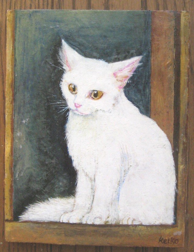 窓辺の猫 ターキッシュ・アンゴラの画像1枚目