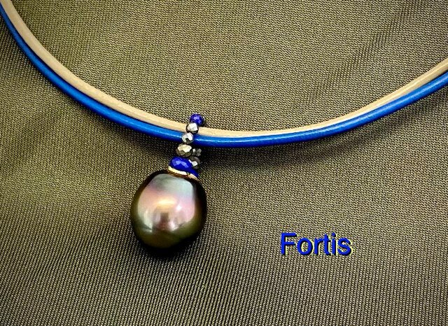 Fortis（フォルティス）