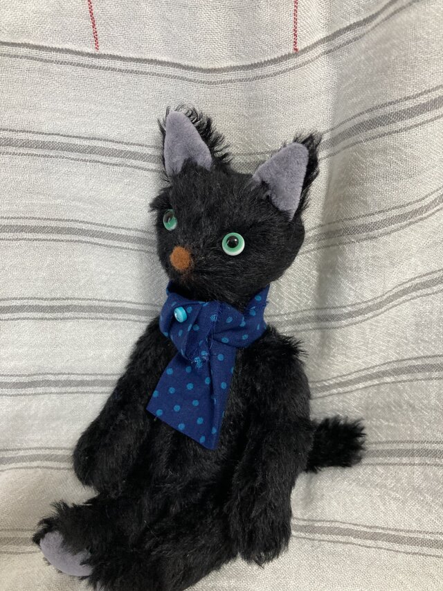 黒猫ちゃんの画像1枚目