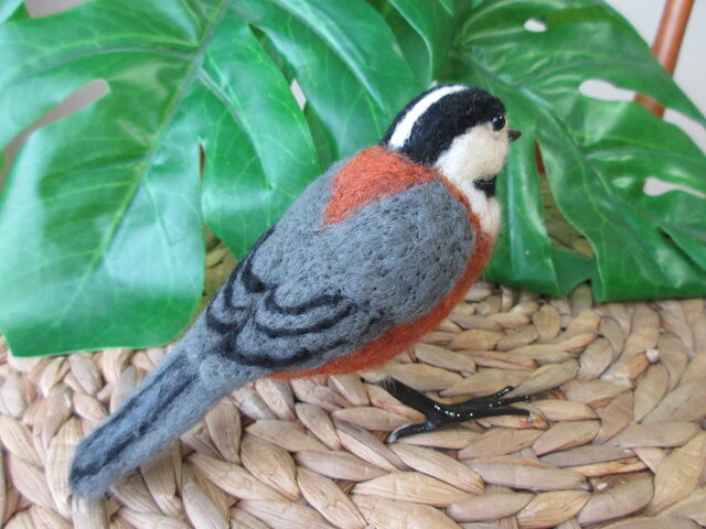 羊毛フェルト 野鳥 鳥 小鳥 ヤマガラ幼鳥 羊毛フェルト ヤマガラ