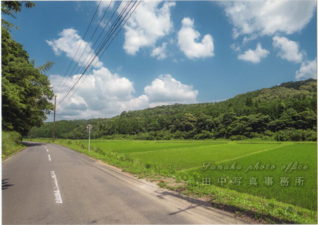 田園風景と道(A4サイズ) LP0509-A3 | iichi 日々の暮らしを心地よく