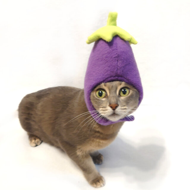 犬猫用コスプレ ナスのかぶりもの（帽子） iichi 日々の暮らしを心地よくするハンドメイドやアンティークのマーケットプレイス