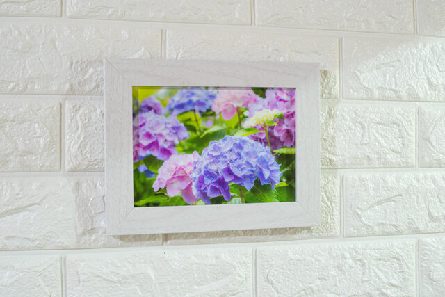 紫～ピンクのアジサイの花(A3サイズ) LP0553-A3 | iichi 日々の暮らし