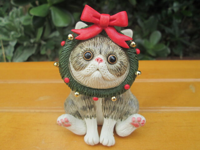クリスマリース★エキゾチックショートヘア③の画像1枚目