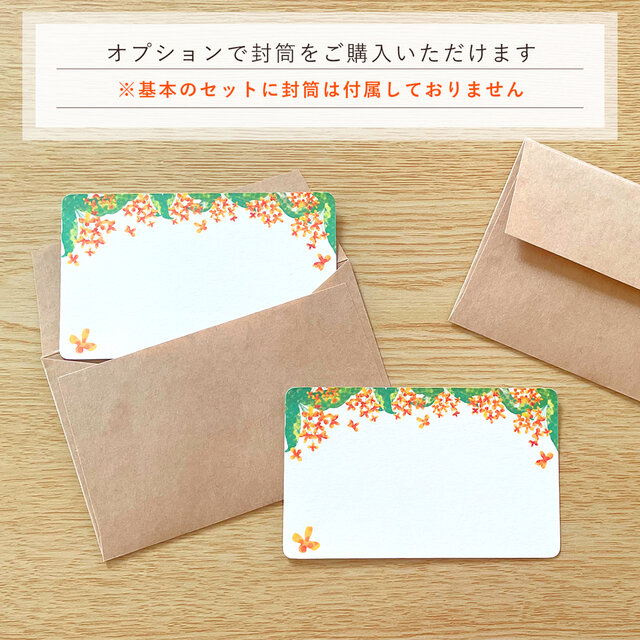 キンツア WITH 韓国 クリアカード Slither Wing [AR] 074/066 SV4K Ancient Roar Pokemon Card