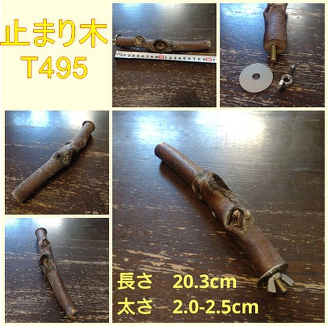 止まり木（枝：TOY-08-015）T495 | iichi 日々の暮らしを心地よくする