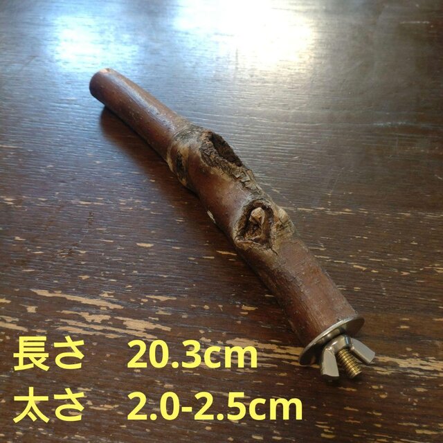 止まり木（枝：TOY-08-015）T495 | iichi 日々の暮らしを心地よくする