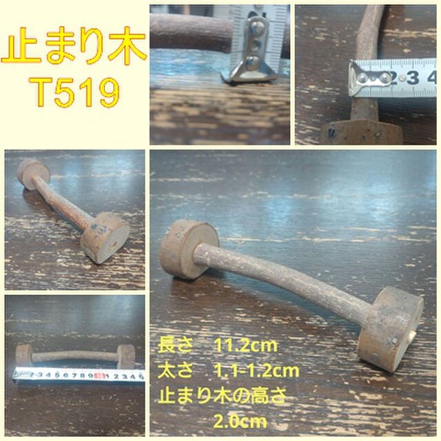 幼鳥、老鳥用の止まり木（TOY-08-023)　T519