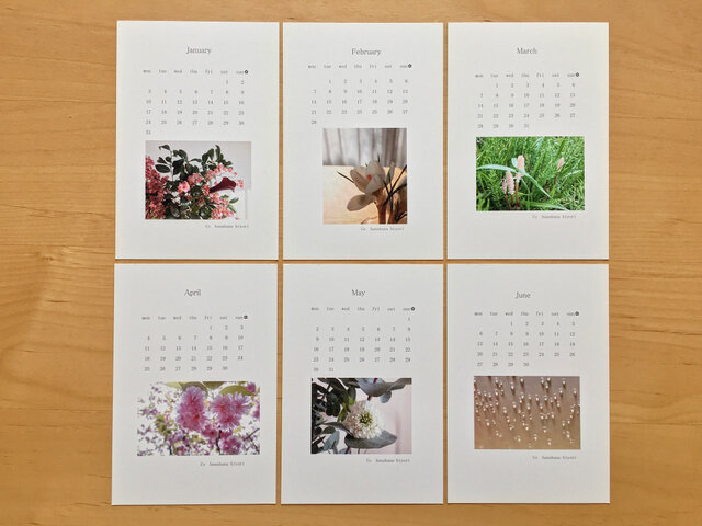 配送員設置 Kew Garden ボタニカルカレンダー2015年度他ポストカード