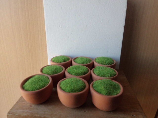 小さな鉢植えの画像1枚目
