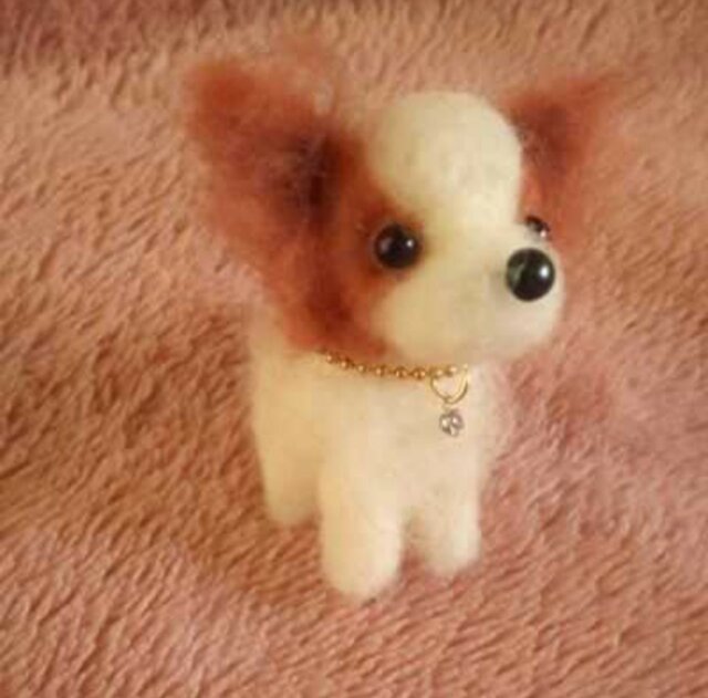 注文製作〕羊毛フェルトハンドメイドパピヨン | iichi 日々の暮らしを
