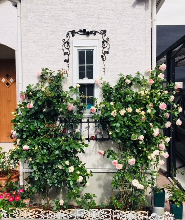 アイアン 豪華 つる薔薇の壁飾り 高級装飾 国産 鉄製 窓飾り ローズ
