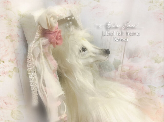 アフガンハウンド フレーム くせ毛 艶毛 デザイナーズカット 羊毛